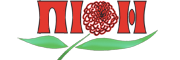 ПIОН